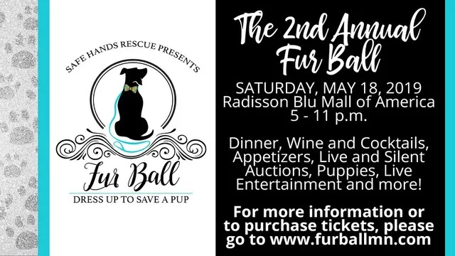 5 Fur Ball flyer