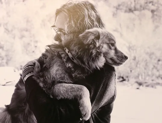 Calendar - Cases (1) copy 3