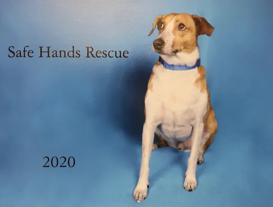 Calendar -Outtakes copy 2