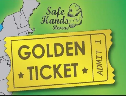 Screen Shot 2019-12-13 at 7.43.29 PM