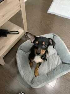 Aiden Sponsored by Caroline and Nathan Spears