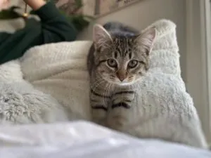 Dillon and Delanie Sponsored by Linda Kelley