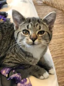 Dillon and Delanie Sponsored by Linda Kelley