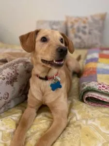 Honey Sponsored by Marion Lukawski 