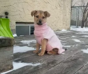 Jerry and Jaime Sponsored by Alan Marks 