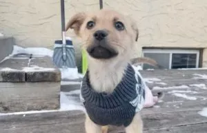 Jerry and Jaime Sponsored by Alan Marks 