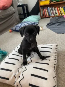 Sarina and Sonja Sponsored by Christy Michaels