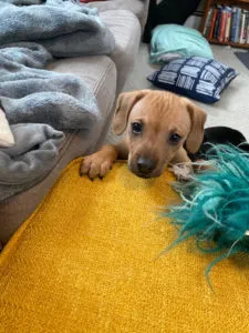 Willow and Shane Sponsored by Mike & Jackie Wyse 