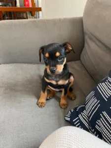 Sarina and Sonja Sponsored by Christy Michaels