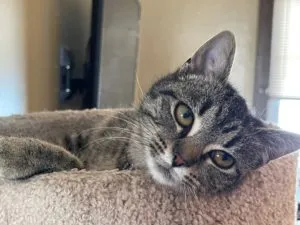 Willow and Shane Sponsored by Mike & Jackie Wyse 