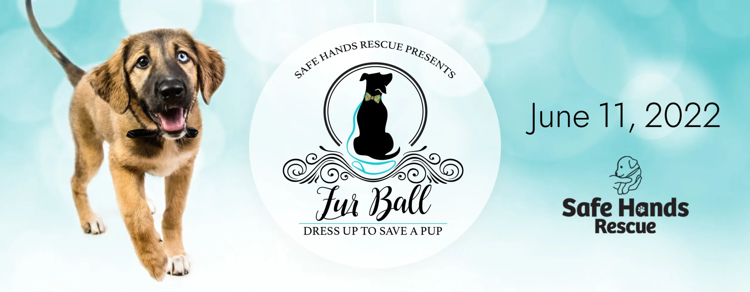 020 GalaDigitalBanner-FB-Jun11