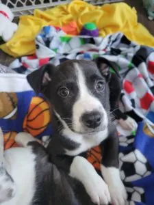 Andrew Sponsored by Kathyanne Norman, Barb Miers, Annie Green 