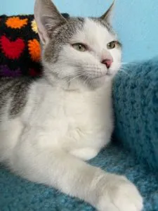 Braxton Sponsored by Ann Gosack, Ashley Ihrke, Rebecca Kinkead Rubio 