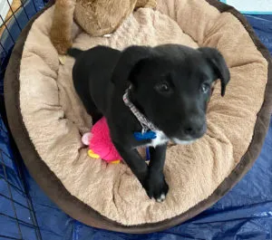 Briony Sponsored by Magara Maeda, Christine Hansen 