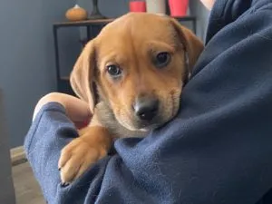 Connor Sponsored by Kristen Wolfe (Anonymous)