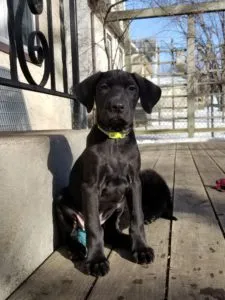 Denver Sponsored by Erin Cosgrove