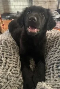 Duncan Sponsored by Claire Winderl