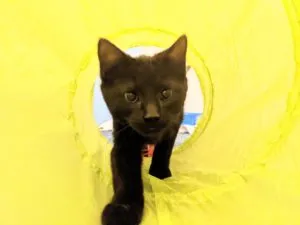 Theodora Sponsored by Diane Jordan, Kiera Stegall