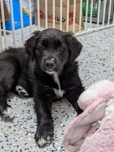 Victoria Sponsored by Stephanie Freudenthal