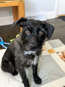 Marnie	Sponsored by Melissa Holm	