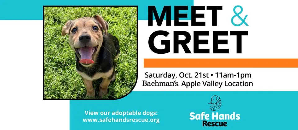 M&G Bachmans Apple Valley 102123