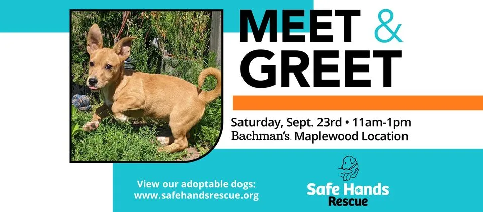 M&G Bachmans Maplewood 092323