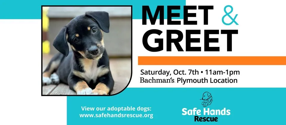 M&G Bachmans Plymouth 100723