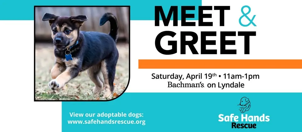 M&G 250419