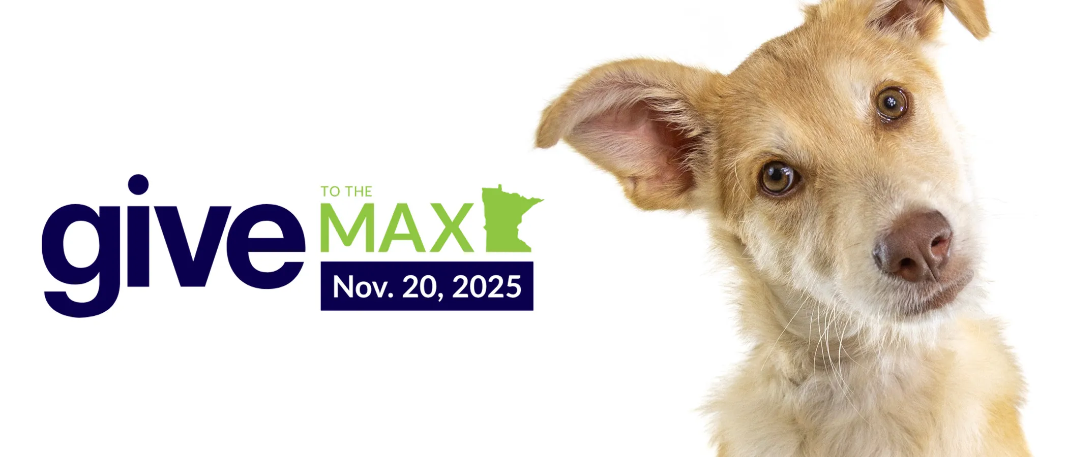 095 GTMD-25-SHwebsiteBanner-p1