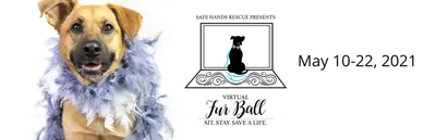 006 SocialImages-Web-2800px-1